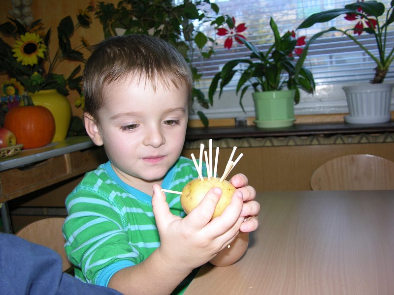 DSCN6352.JPG