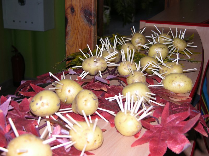 DSCN6363.JPG