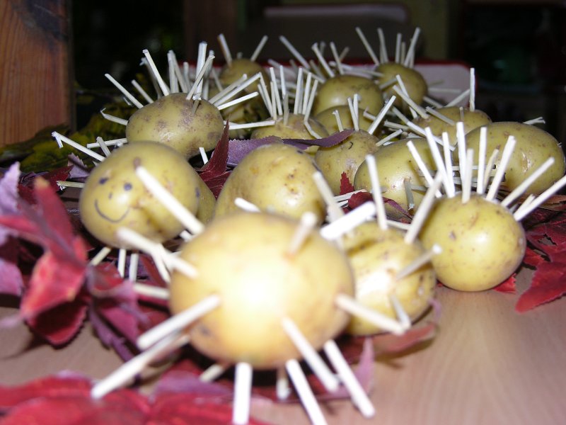 DSCN6364.JPG