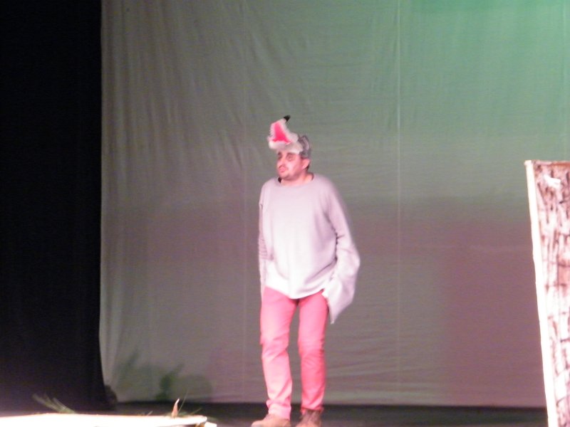 ds89.jpg