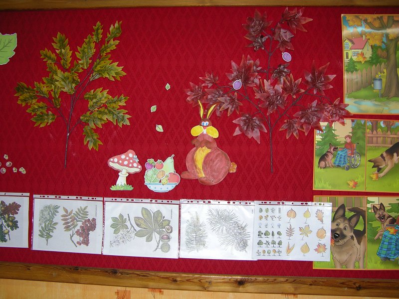 DSCN6342.JPG