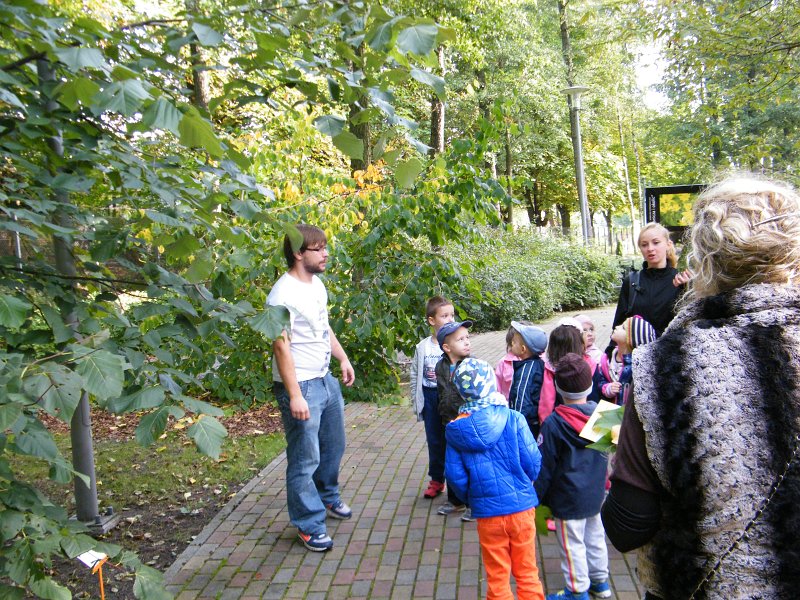 dscf3477.jpg