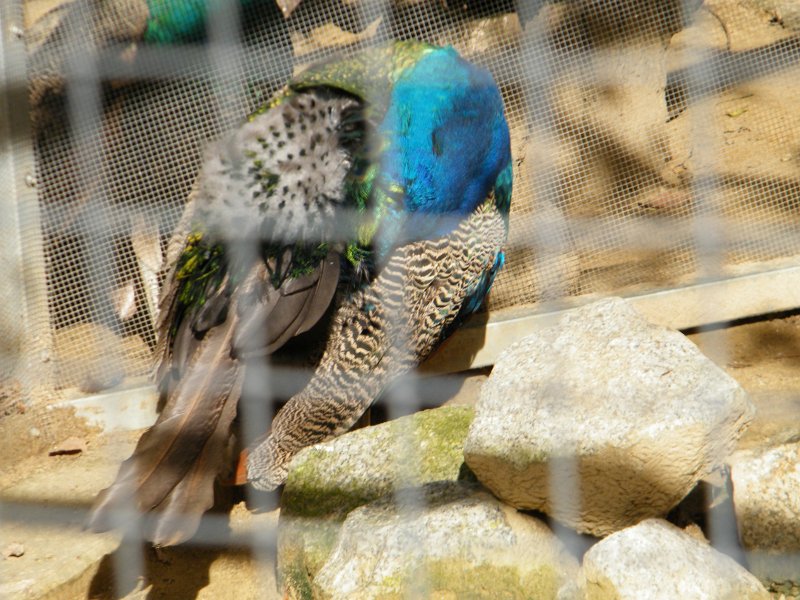 dscf3530.jpg