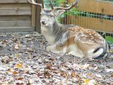dscf3556