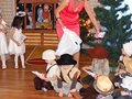 dsc04212