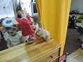 DSCN1597