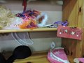 DSCN1586