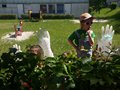 20160607_105248