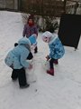 20170126_102650_resized